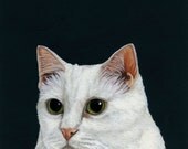 custom portrait painting of your pet - 6x8