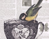 Bird,Tea Cup.birthday,collage.Gift. Antique Book Page  Print.Vintage.Yellow.home decor,altered,handmade, freebie.eco.fathers day.dad.mom