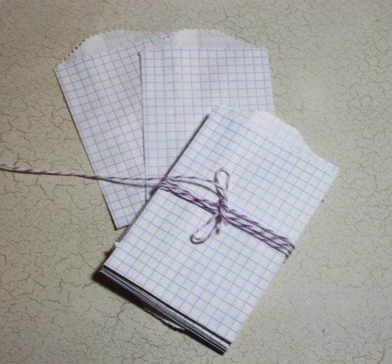 Blue Grid Paper Bags -- Party Favor, Goody, Gift -- set of 12 -- 2.75 X 4 Il_570xn
