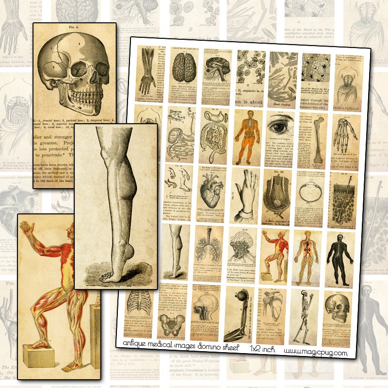Antique Medical Engraving Domino Digital Collage Sheet for jewelry decoupage altered art