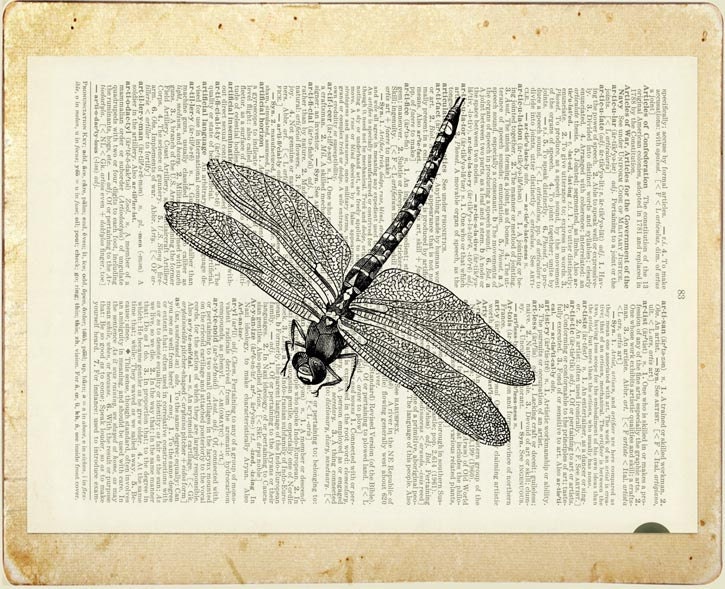 vintage dragonfly artwork V - printed on old page from vintage dictionary