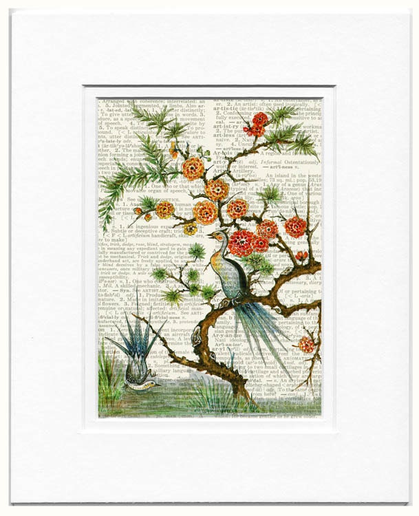 16oo's pheasant - reproduction painting - printed on page from old dictionary