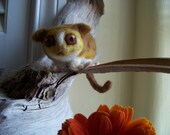Almost Life Sized Mouse Lemur