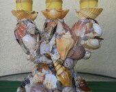 Candelabra, Seashell Candelabra, Candle Holder, Beach House Decor, Tropical Style