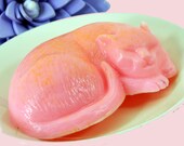 Soap - Sleeping Kitty Cat Soap - Sweet Kitty Scent - Cat Lovers - Glycerin Vegan Friendly - Sprinkled with Sugar - Pink Yellow Orange