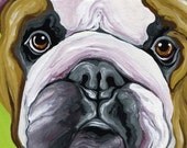 ACEO Tan English Bulldog  Original Gouache Painting Dog Art-Carla Smale
