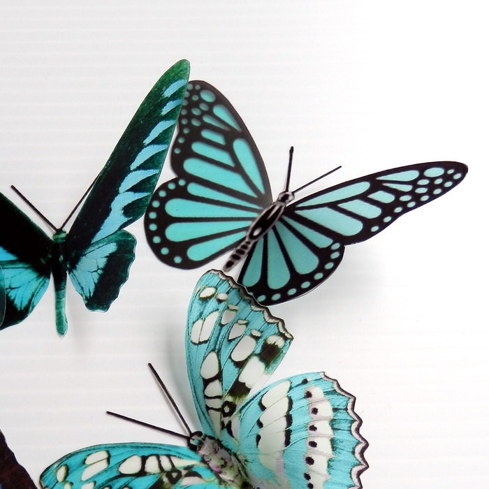 36 x Special Turquoise 3D Butterflies great for Weddings, Crafts