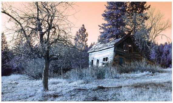 Early Spring Old Homestead Landscape