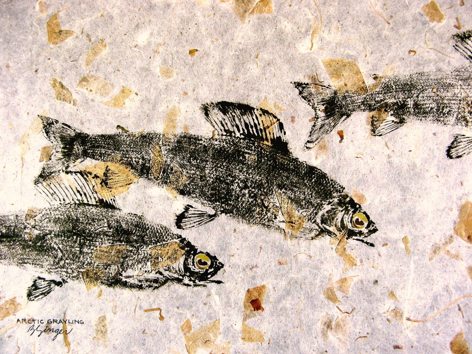 Arctic Grayling Original GYOTAKU Fish Rubbing 18X12 on leaf embedded paper
