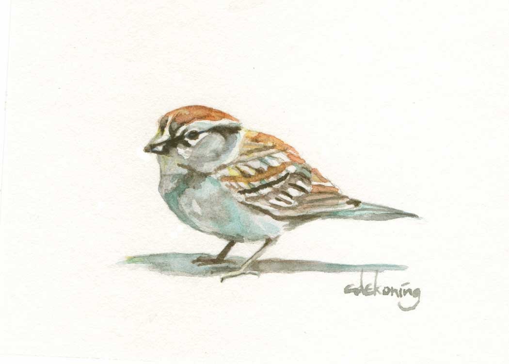 House Sparrow watercolor bird painting 8.5x11 PRINT