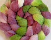 Merino Handpainted  Wool Top - Hyacinth