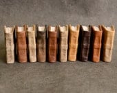 Miniature Books -Set of Ten