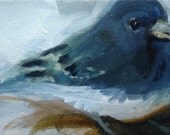 Alert- Painting of a Junco