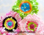 Looped Flowers with Rhinestone Gem Centers Embellishment Set