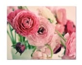 Ranunculus Photograph, 5x7 Flower Print, Pink Bouqet Photograph, Floral Photo, Nature Photography, Shabby Chic Decor