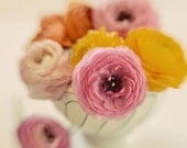 Ranunculus Photograph, 8x10 Flower Print, Vintage Bouqet Photograph, Floral Photo, Nature Photography, Yellow Pink Shabby Chic Decor