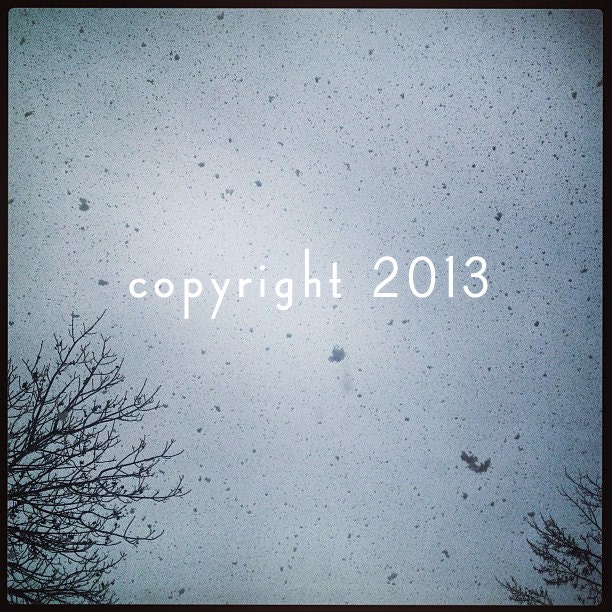 5x5 Fine Art Photograph - Let It Snow - Instagram photo
