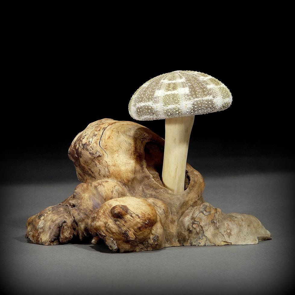 Sea Urchin Toadstool Mushroom (OR59)
