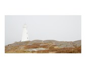 Lighthouse Art, Newfoundland Travel, Golden Grass, Seaside, East Coast Barren Canadian Shield - Cape Spear Lighthouse in Fog 8x16