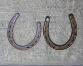 Two Vintage Iron Horseshoes Signed
