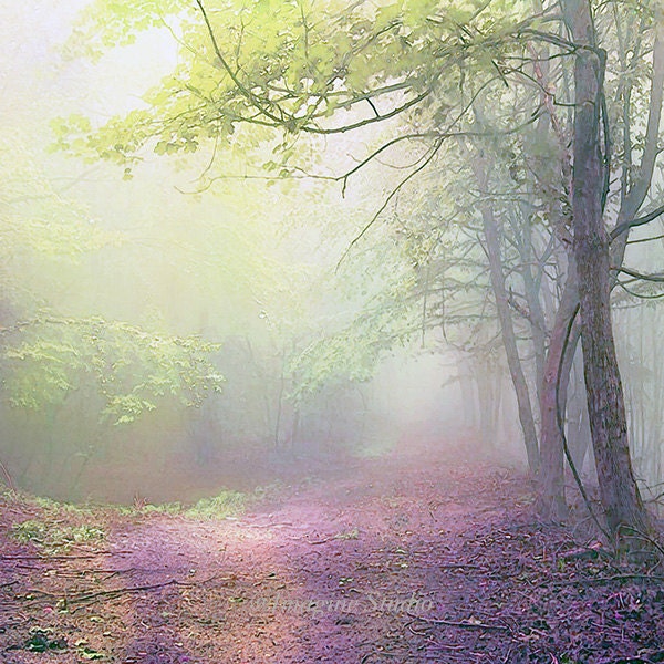 Landscape, Nature, Woodland,  Forest, Spring,  Photography,  Surreal Landscape, Painted Photographs, Fine Art Print,  Home Decor, Wall Art