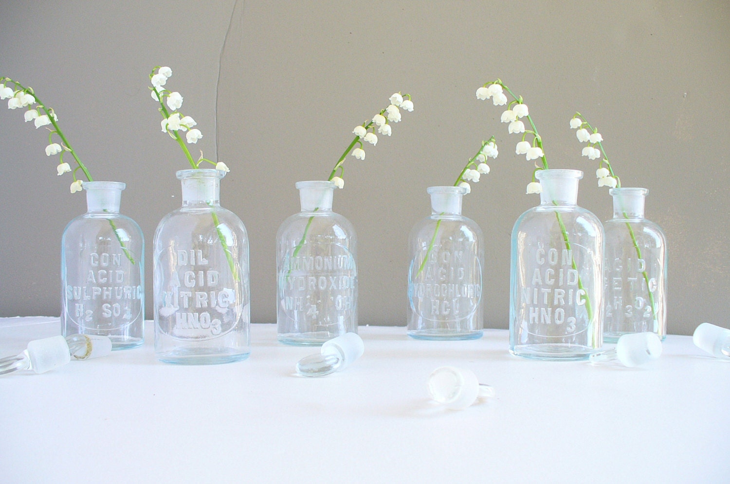 Vintage Apothecary  Bottles Chemistry Lab Vials Glass Stoppers / Father's Day / Eco Wedding