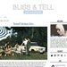 Premade Blogger Template Bliss and Tell