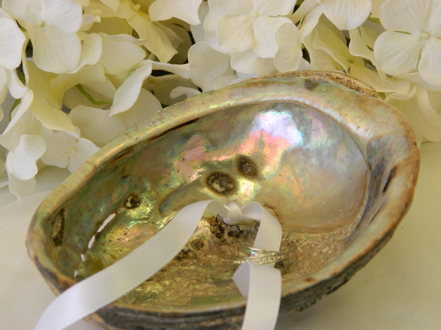 Abalone Ring Bearer Shell with white ribbon