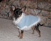 XXS and XS  Hand Knit Pale Blue Dog Sweater  Chihuahua Poodle Yorkie