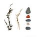 Beachcombing series No.31 - 12x12 photograph - seaweed, driftwood, beach stones, whelk shell