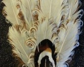 Brown, brown clip, brown feather clip, feather clip,  ready to ship, brown feather clip, pin up, burlesque, holiday