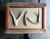 vintage wood and glass tray