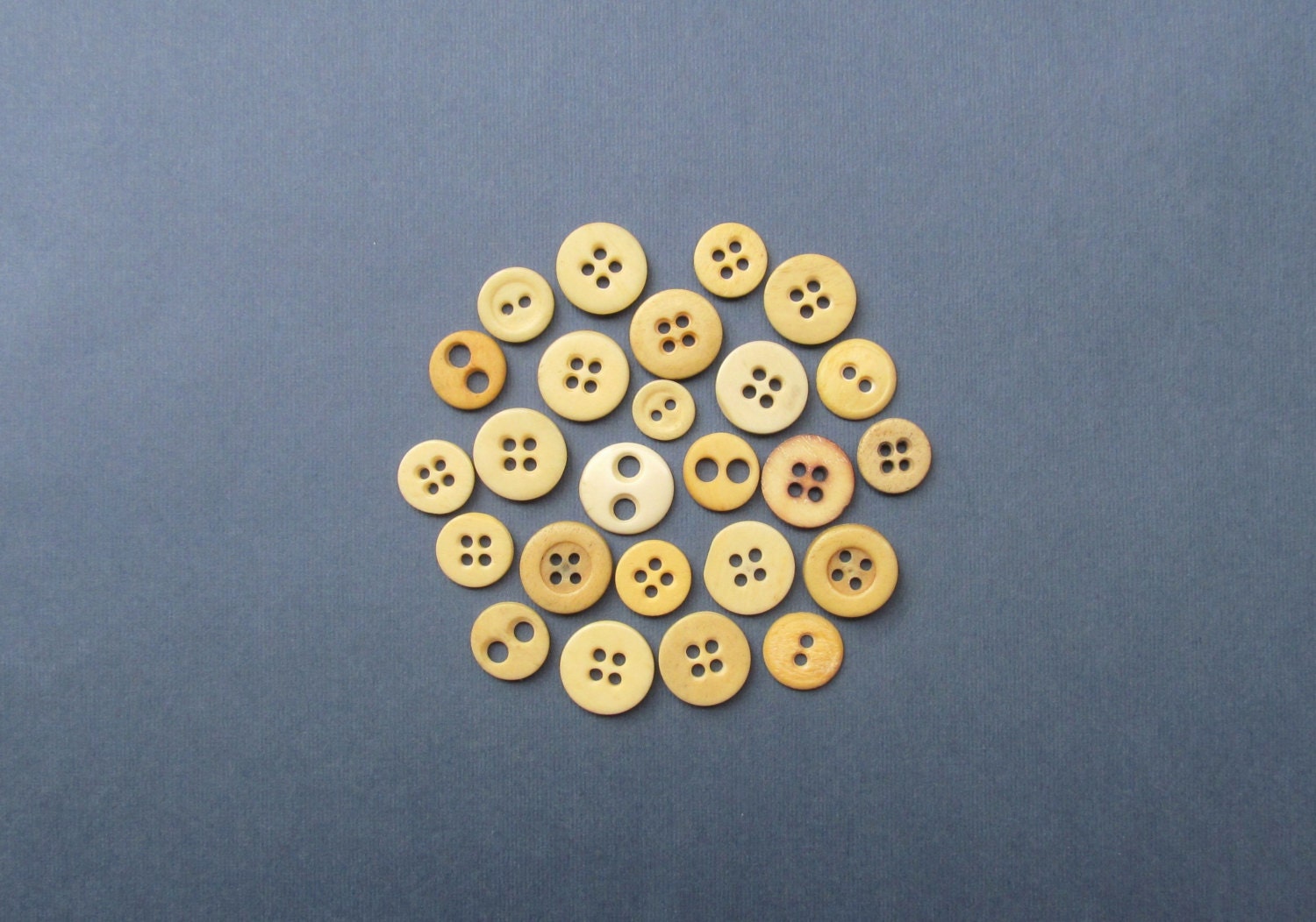 Antique Bone Buttons