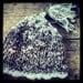 Simplicity Cap - cloche with crochet accents & tassel - corespun yarn