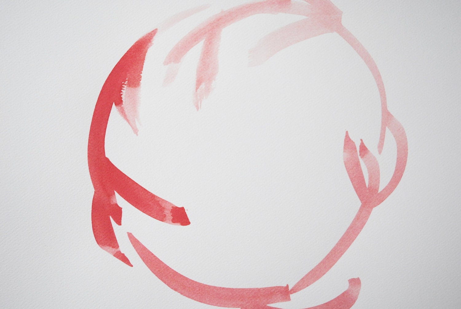 graphic watercolor in coral