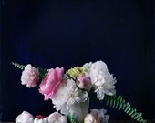 Flower Photograph No. 88225