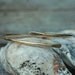 Solid 14k Yellow Gold Bonnie Bracelet