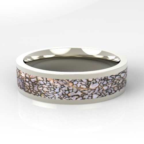 Titanium Ring with a Dinosaur Bone Inlay