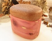 Cedar & Lacewood Box, wood furniture accessory, jewelry box, wooden treasure box, small pet urn, office desk organizer, eco friendly gift