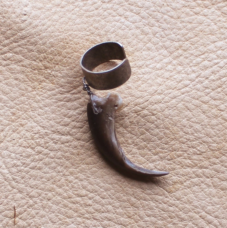 Real single porcupine claw on silver-plated brass ear cuff