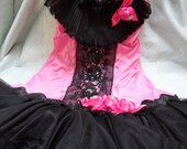 FLAPPER Great Gatsby 1920s Speakeasy Jazz Age Roaring 20s - Vintage Slip Make Over -Hot Pink and Black