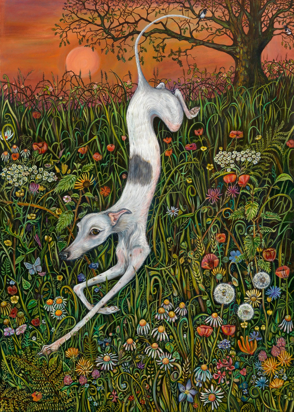 The Last Dance at Sunset - Whippet Art Print  - LARGE PRINT