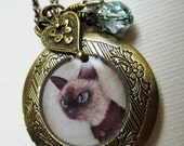Cat Locket - Theo the Siamese art jewelry necklace, antique locket
