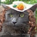 Cat Hat - Southern Belle Hat with Wig