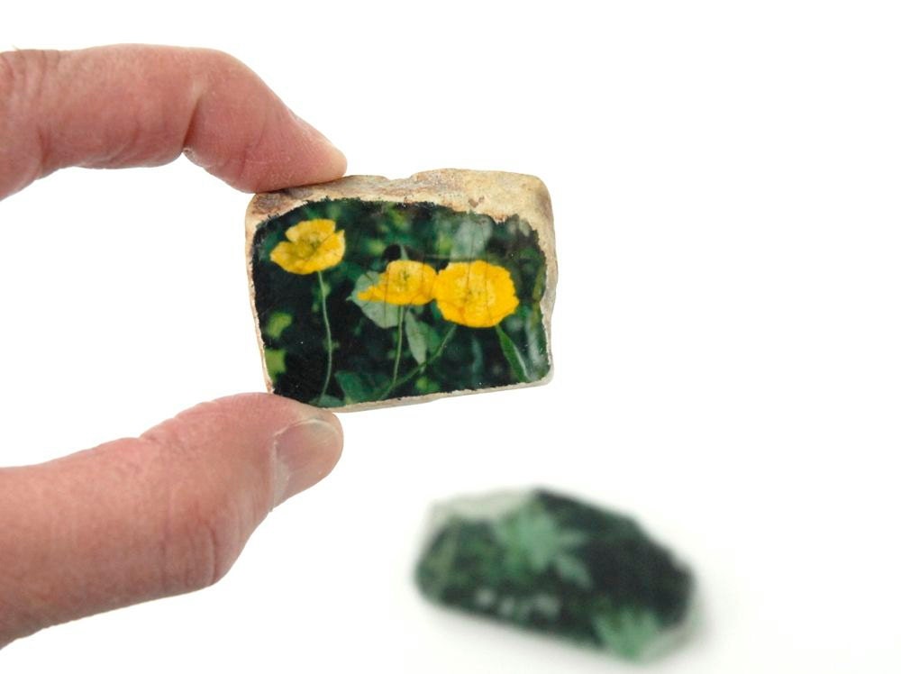 yellow poppies - emulsion lift polaroid photo on beach pottery original