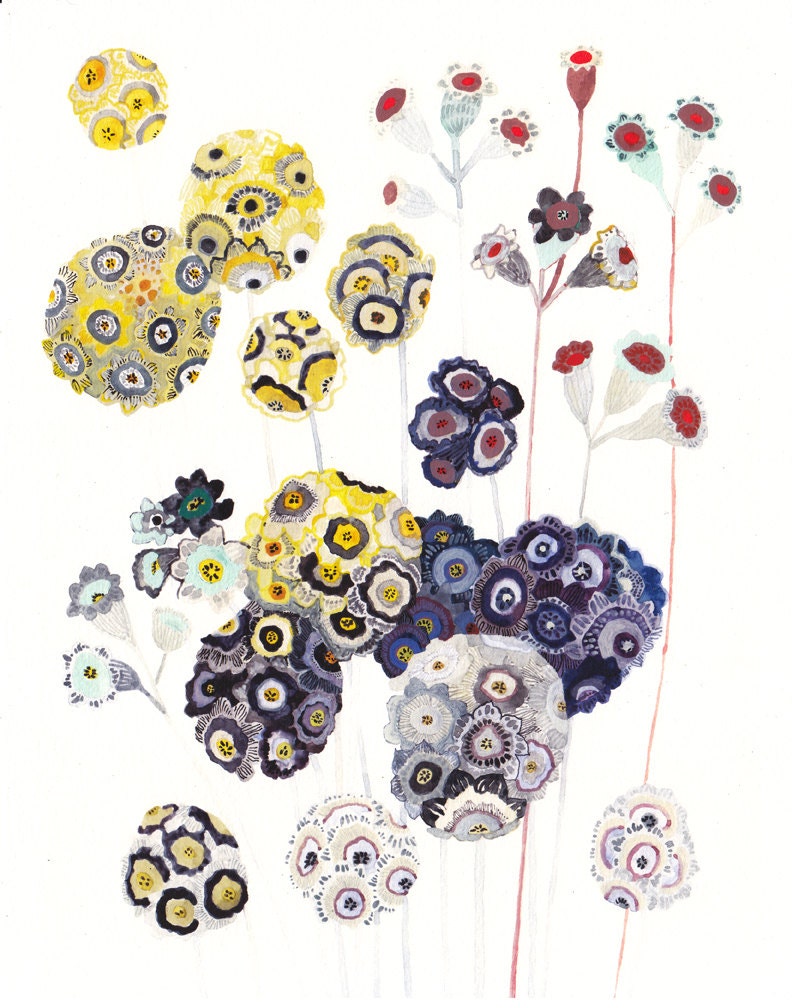 Drumstick Primroses -Large Archival Print
