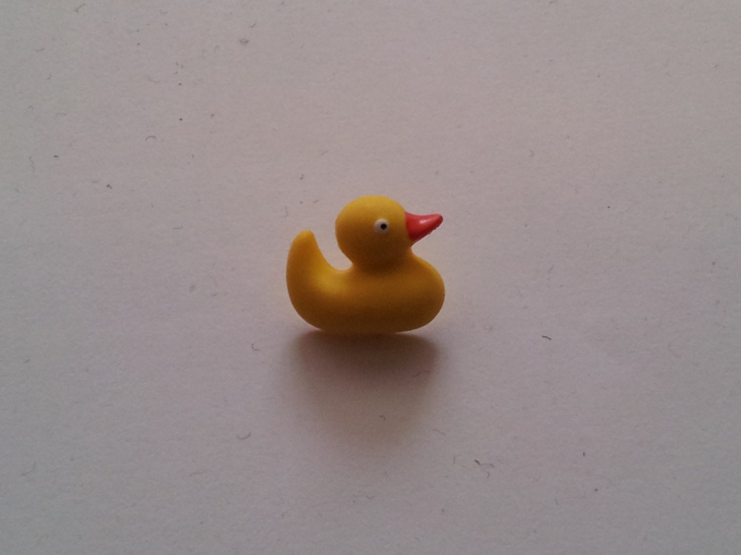 Dress it up rubber ducky button with shankback 3/4"