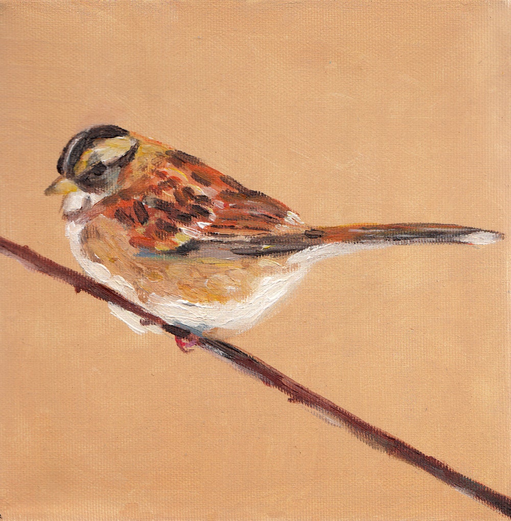 A little bird on a branch / Original acrylic painting / Still life