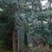 Photograph Spider Web 8 x 10 Nature Print
