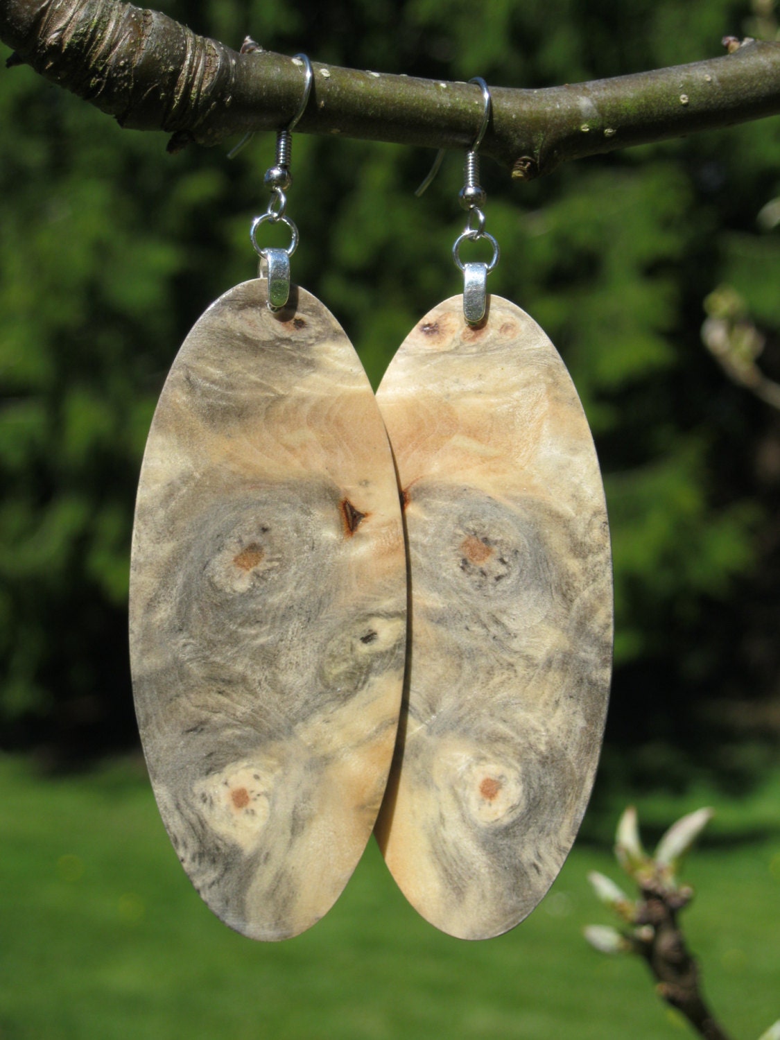 Very Large Very Lightweight Reclaimed Wood Buckeye Burl Earrings
